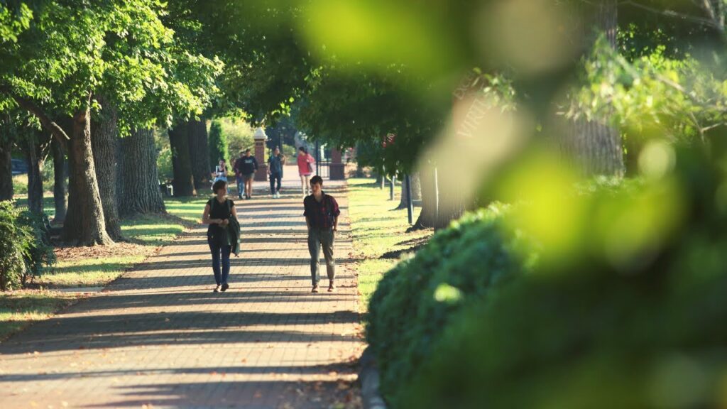 Students on Abbey Lane