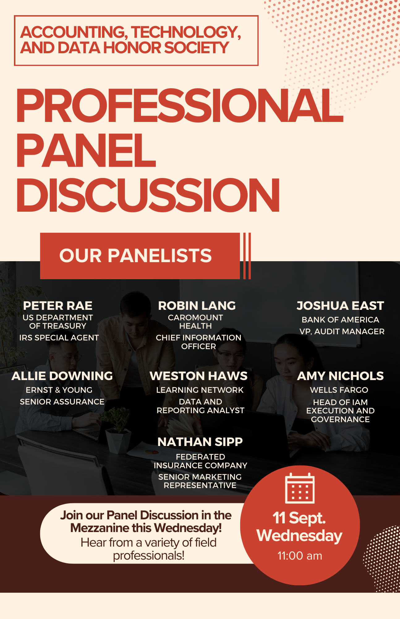 Professional panel discussion (1)