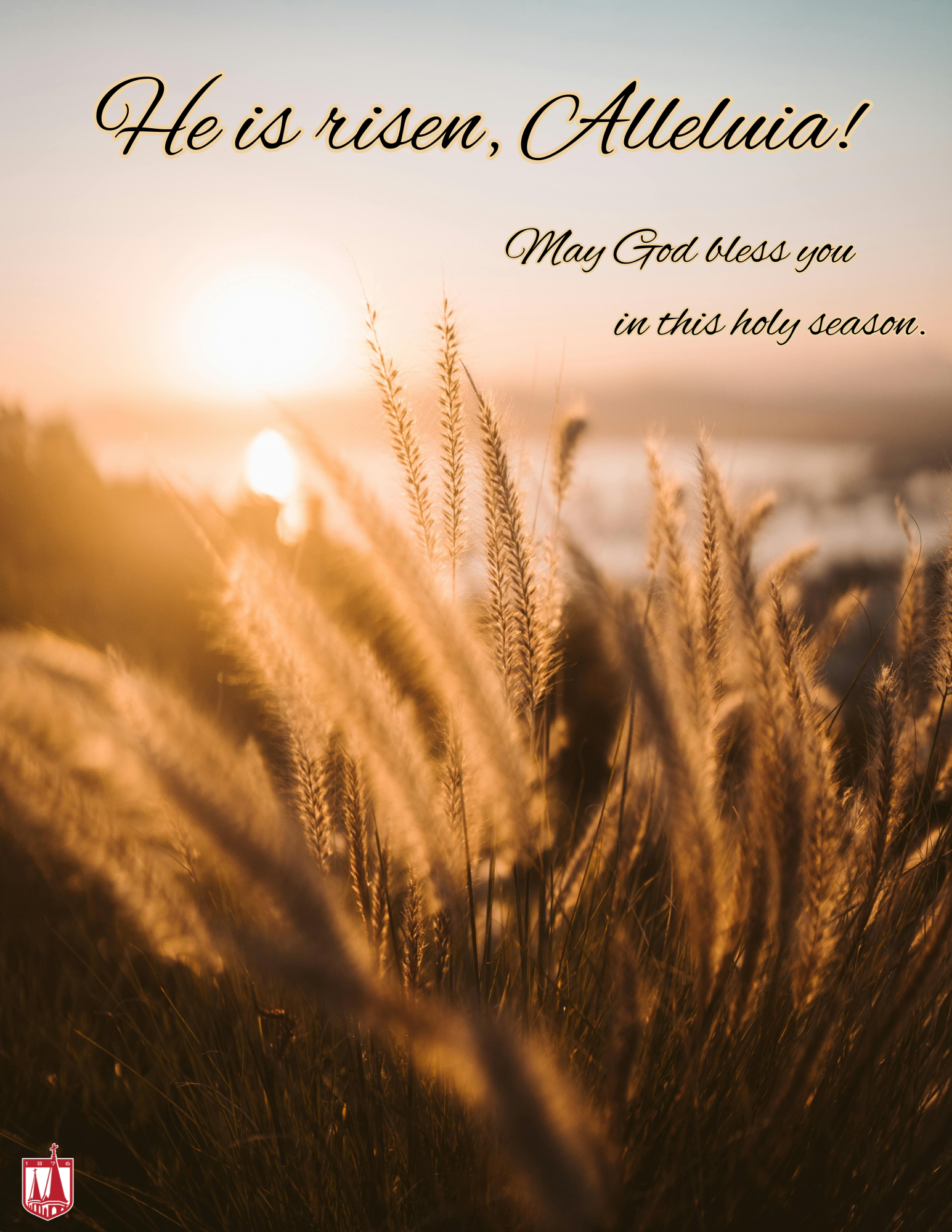 Copy of Your paragraph text