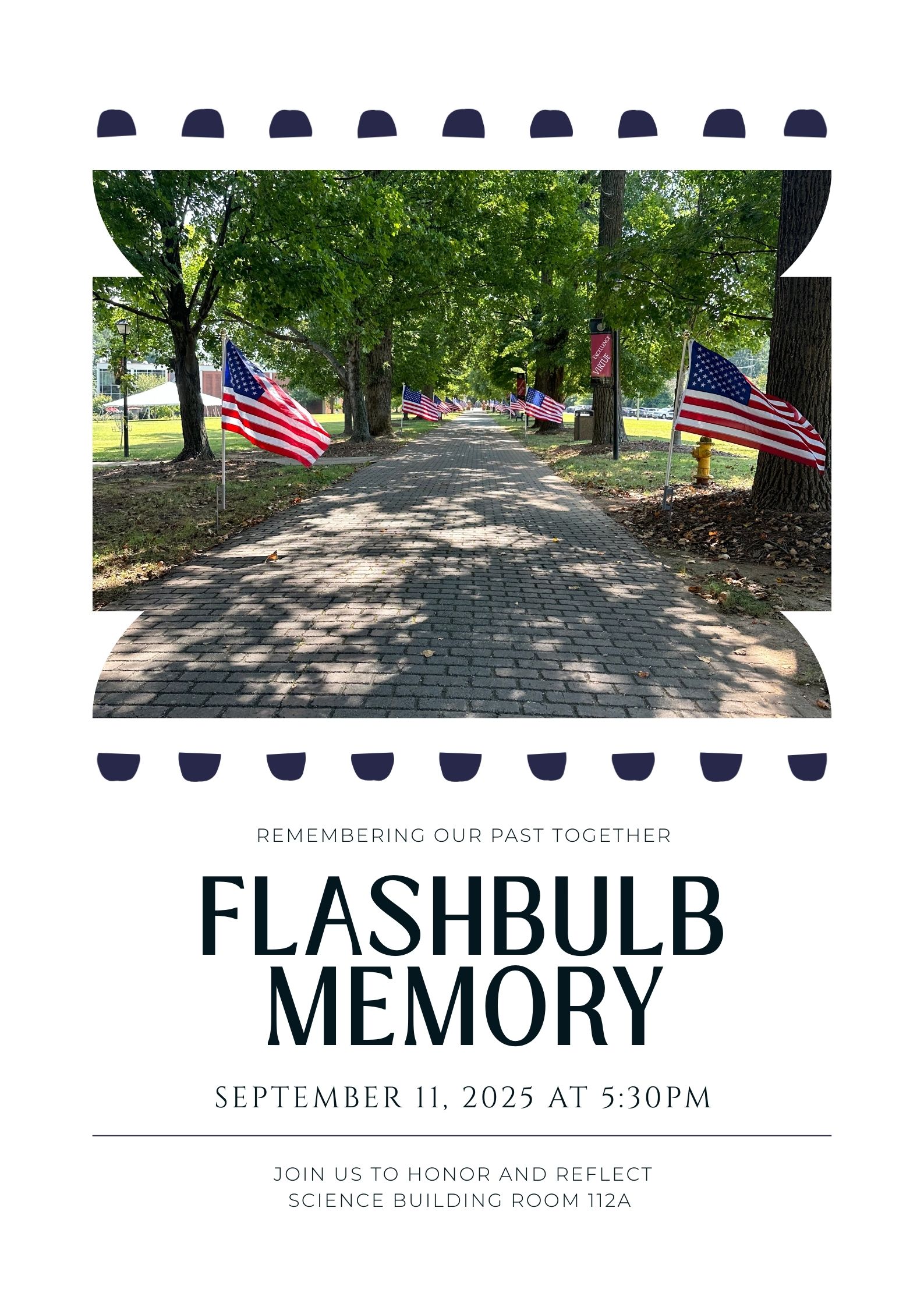 Poster Flashbulb Memory Poster Flashbulb Memory
